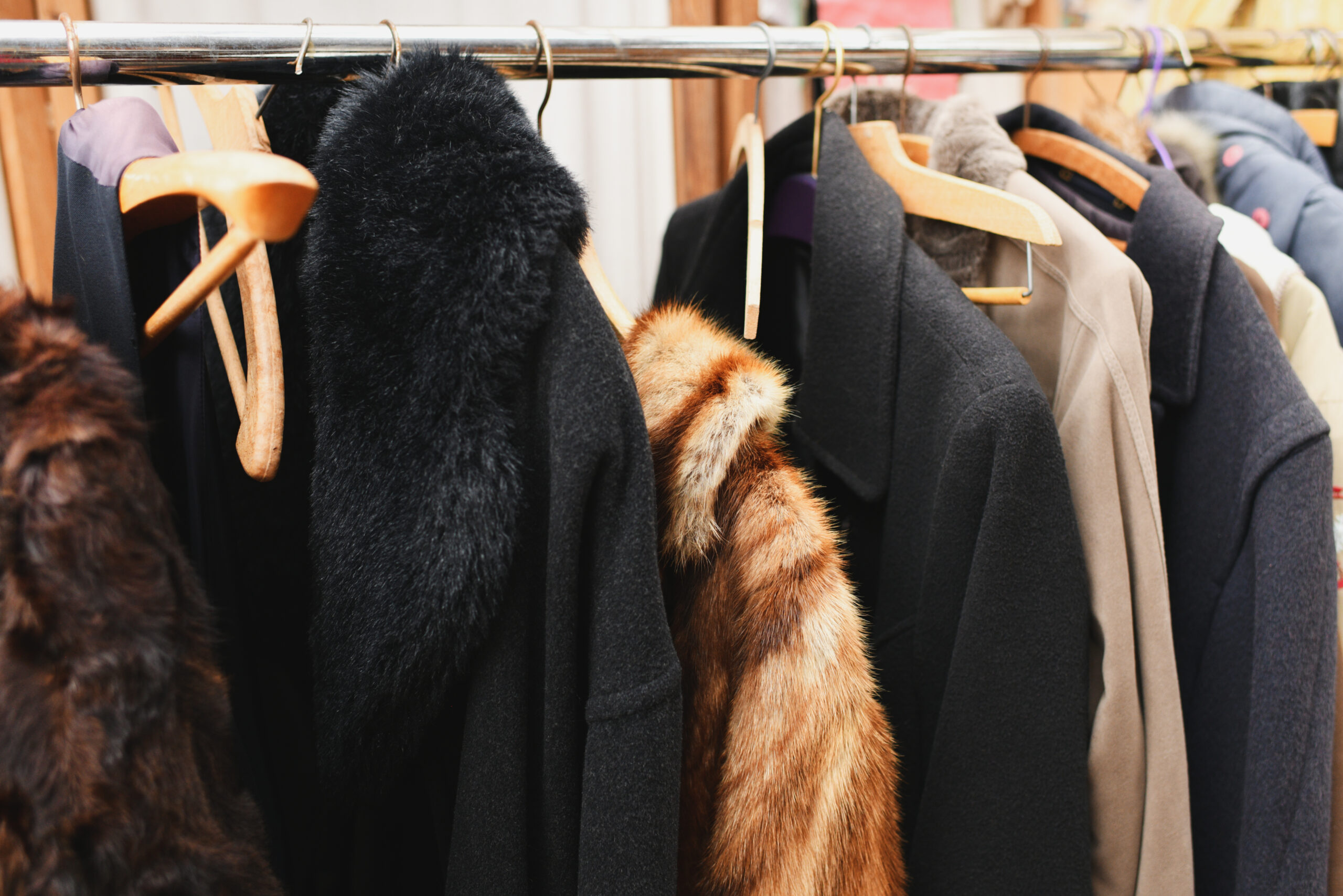 A fur coat, a coat with a fur collar, a coat made of fox or rabbit fur hang on a hanger in a second-hand store.
